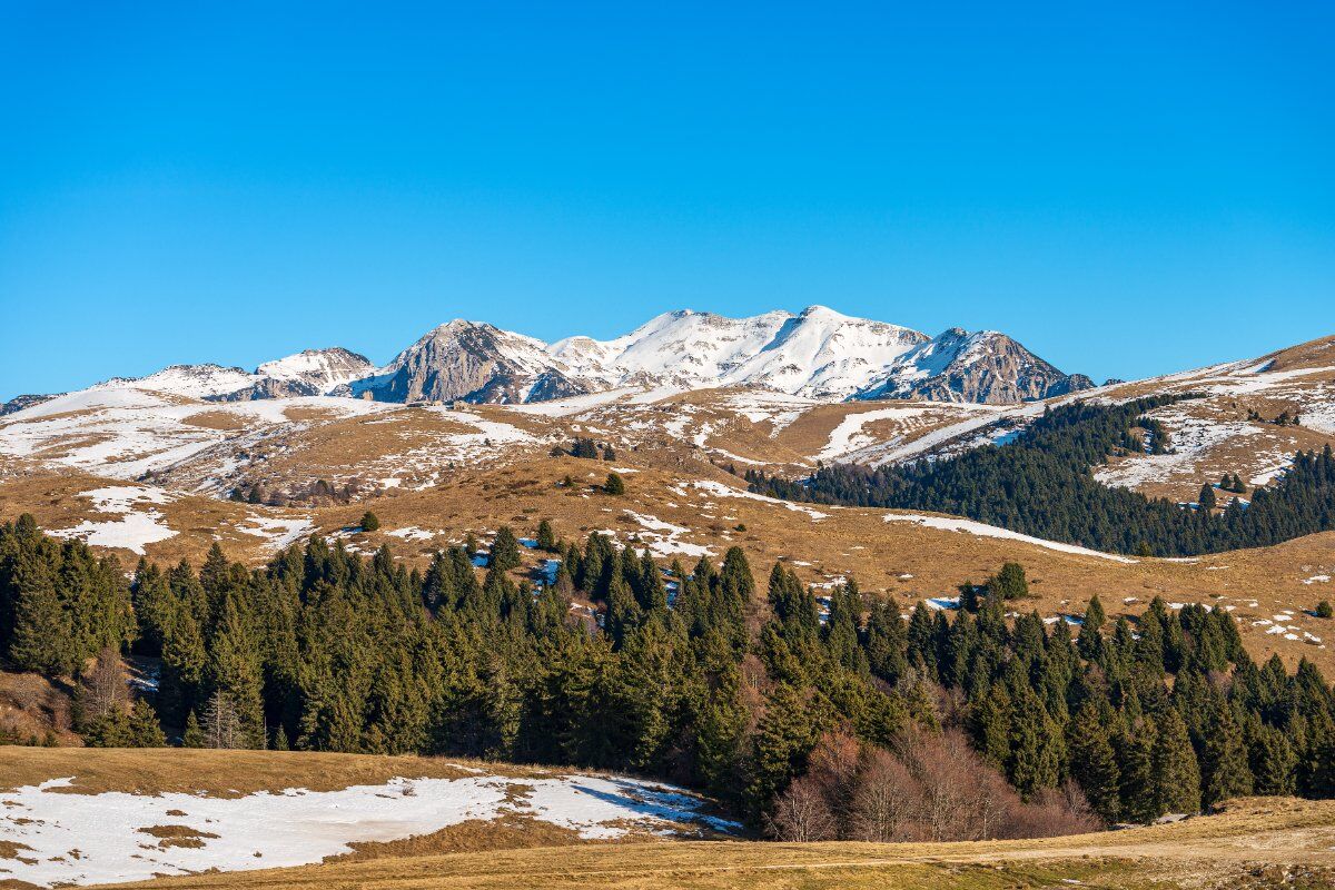 Trekking a Passo Fittanze con Cena in Malga desktop picture