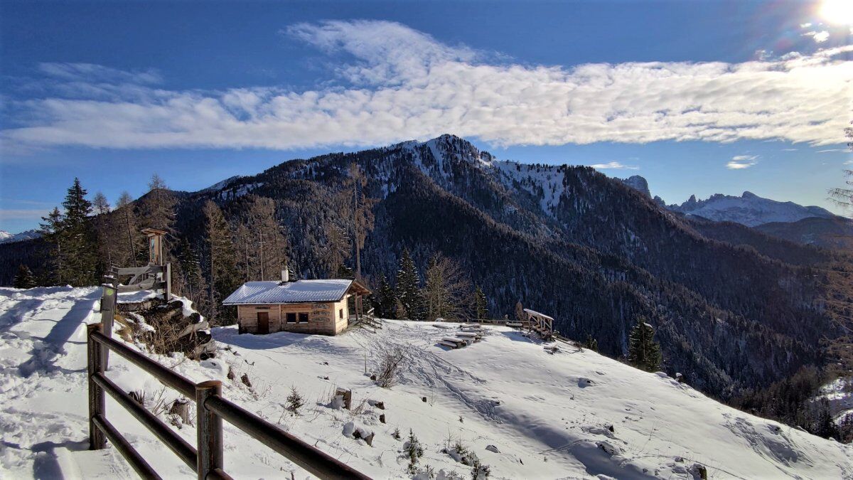 Ciaspolata alle Pendici del Pelmo con Pranzo in Rifugio (Ciaspole Incluse) desktop picture