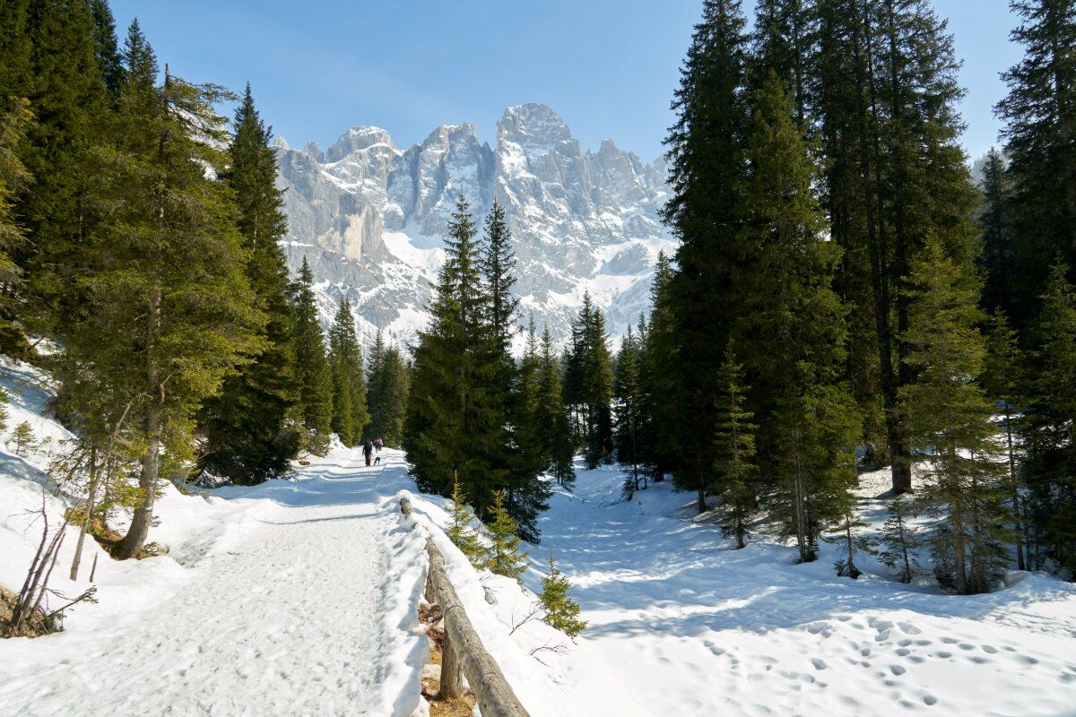 La Val Venegia al Tramonto: Una Ciaspolata Panoramica desktop picture