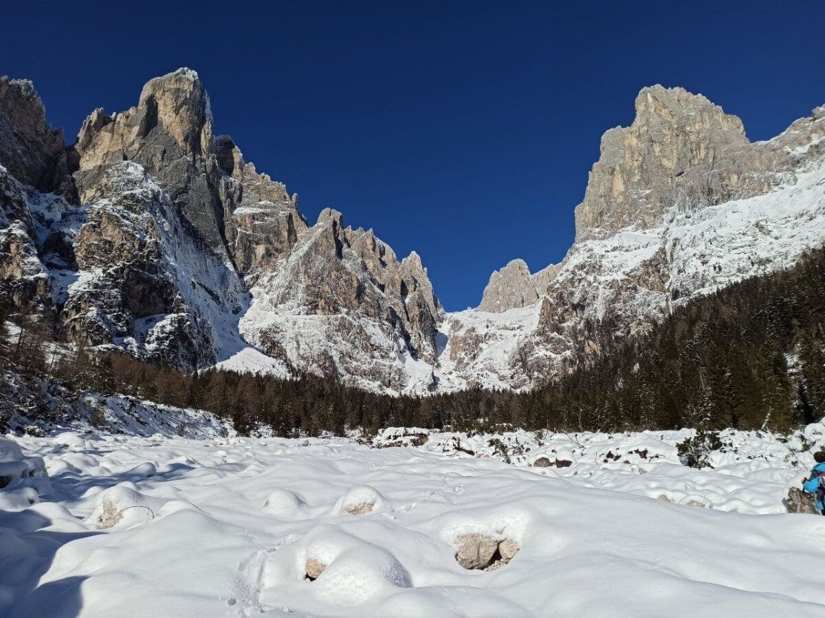 Ciaspolata Panoramica con Pranzo Tipico in Val Canali desktop picture