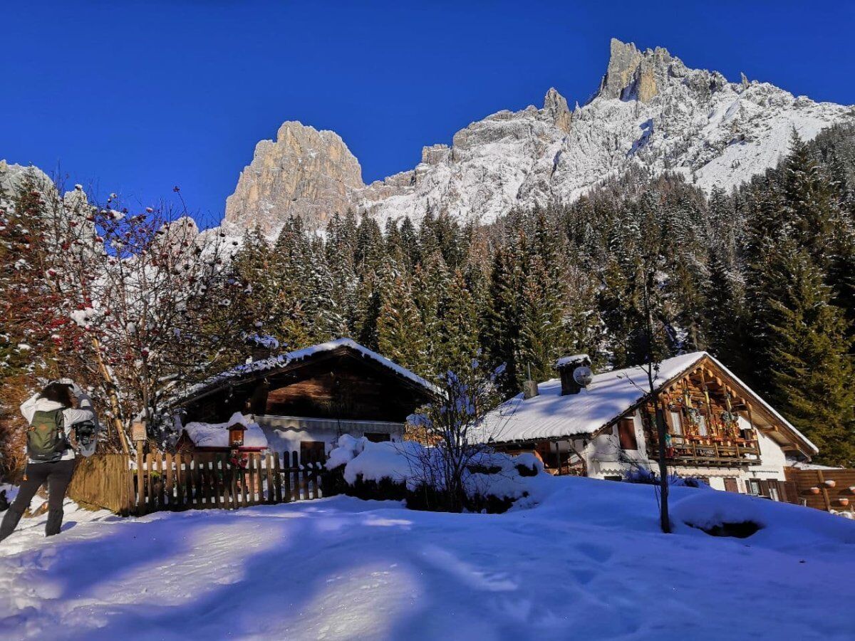 Ciaspolata Panoramica con Pranzo Tipico in Val Canali Ciaspolata Panoramica con Pranzo Tipico in Val Canali desktop picture