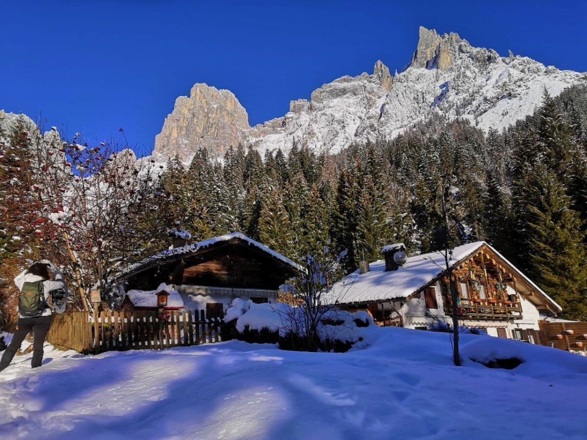 Ciaspolata Panoramica con Pranzo Tipico in Val Canali desktop picture