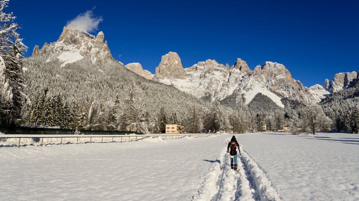 Ciaspolata Panoramica con Pranzo Tipico in Val Canali Ciaspolata Panoramica con Pranzo Tipico in Val Canali desktop picture
