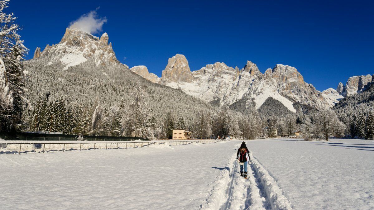 Ciaspolata Panoramica con Pranzo Tipico in Val Canali desktop picture