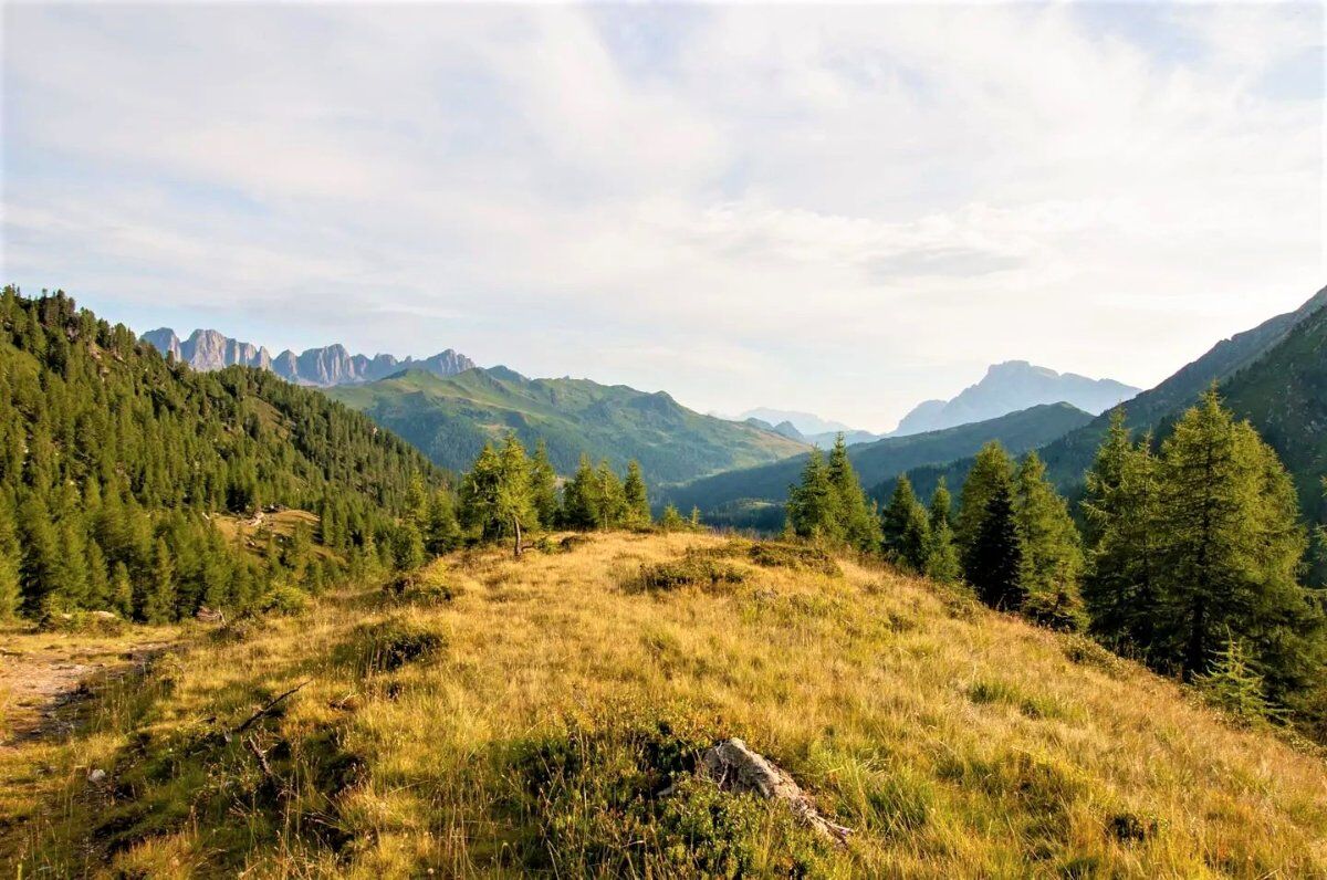 L'Incontaminata Valle del Vanoi: un trekking nel cuore del Lagorai desktop picture