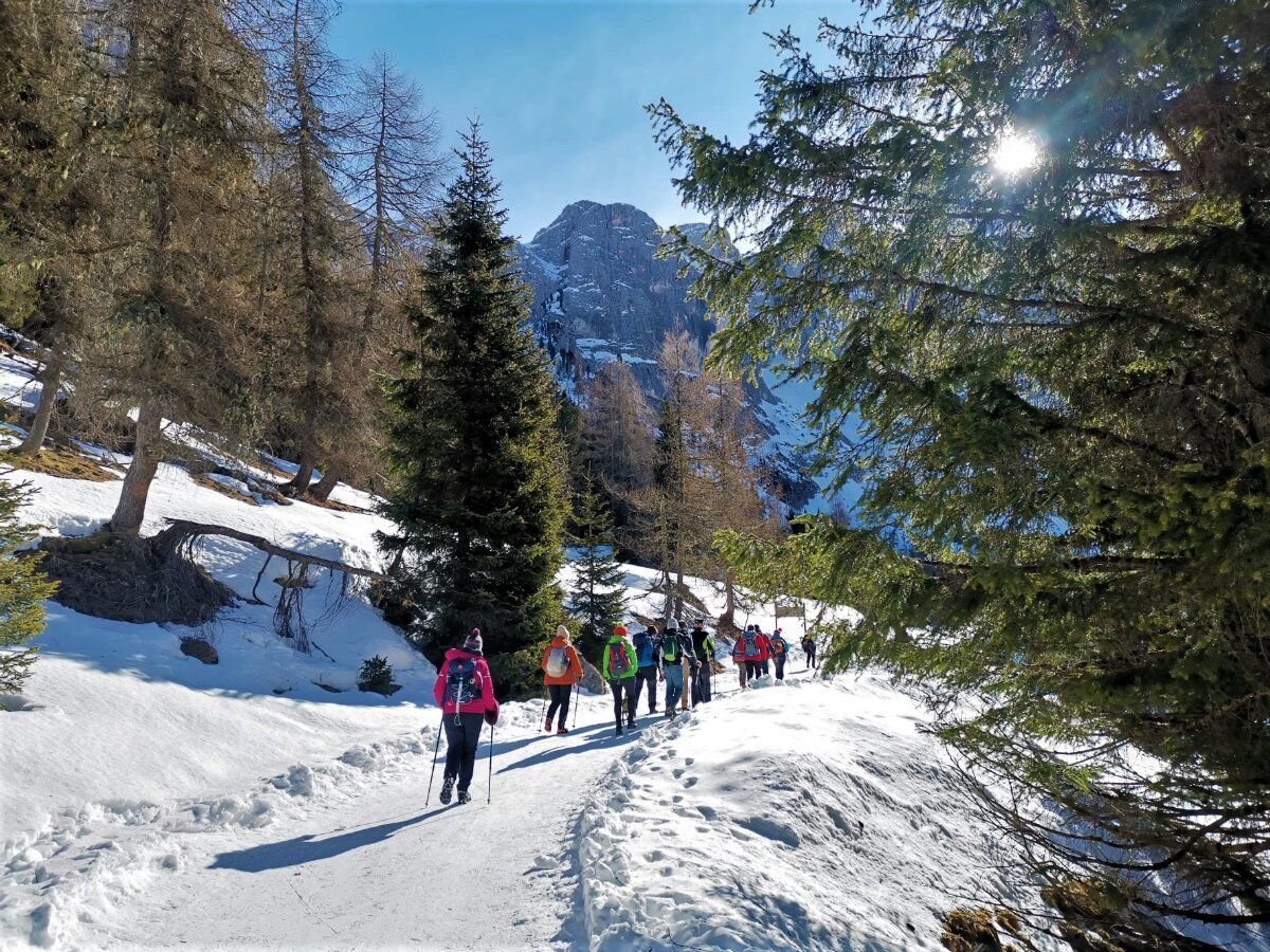 Ciaspolata con Vista sulle Maestose Pale di San Martino Ciaspolata con Vista sulle Maestose Pale di San Martino desktop picture