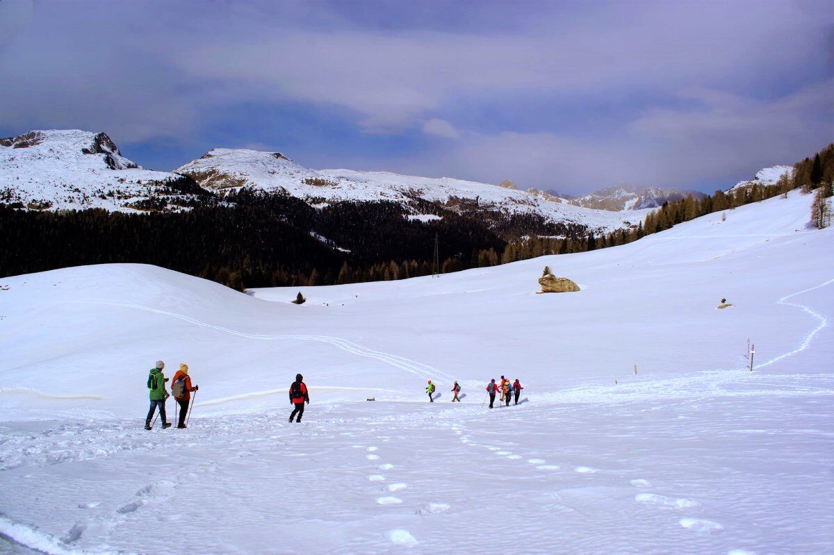 Ciaspolata con Vista sulle Maestose Pale di San Martino Ciaspolata con Vista sulle Maestose Pale di San Martino desktop picture