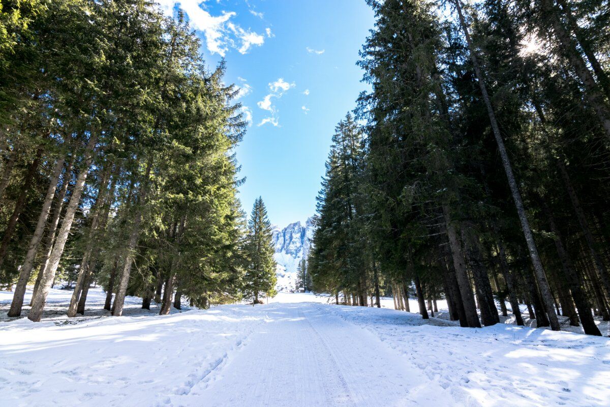 Ciaspolata con Vista sulle Maestose Pale di San Martino Ciaspolata con Vista sulle Maestose Pale di San Martino desktop picture