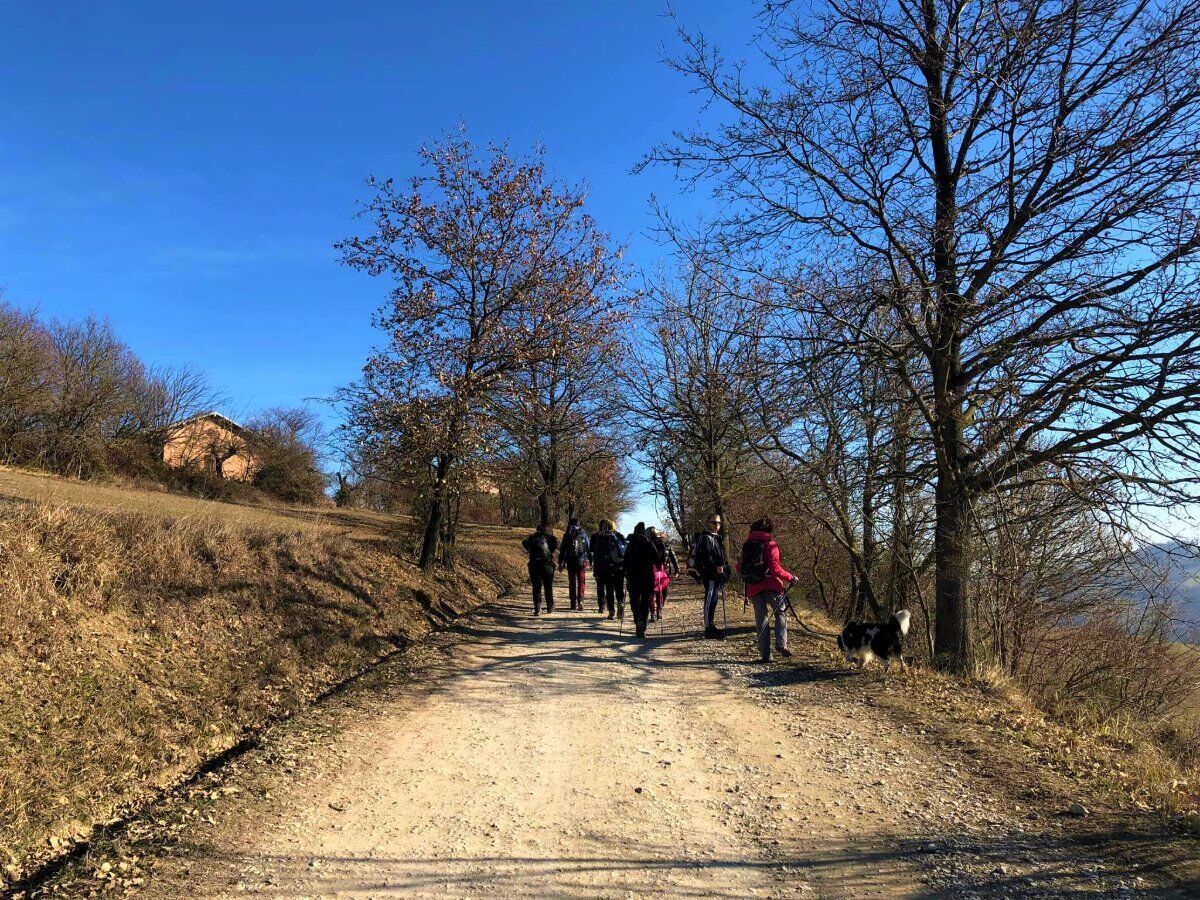 Il Borgo di Borzano: Emozionante Trekking nei Colli Reggiani desktop picture