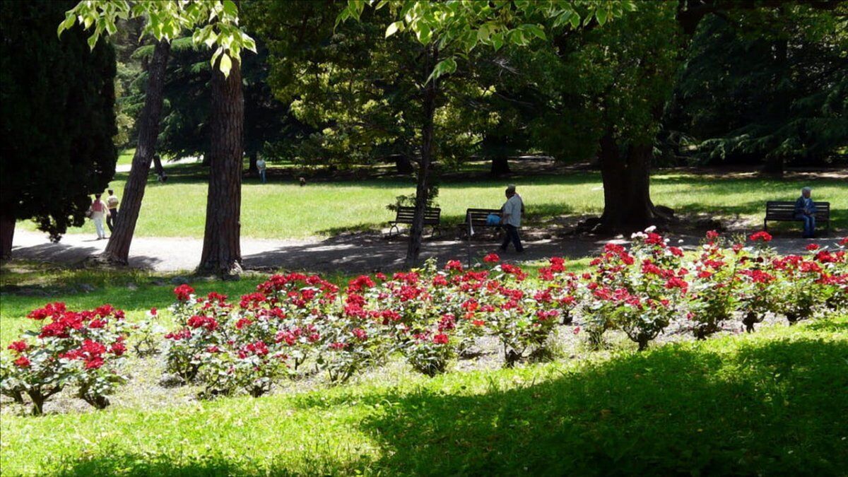 Genova nel Verde: Visita ai Giardini e all'Orto Botanico desktop picture