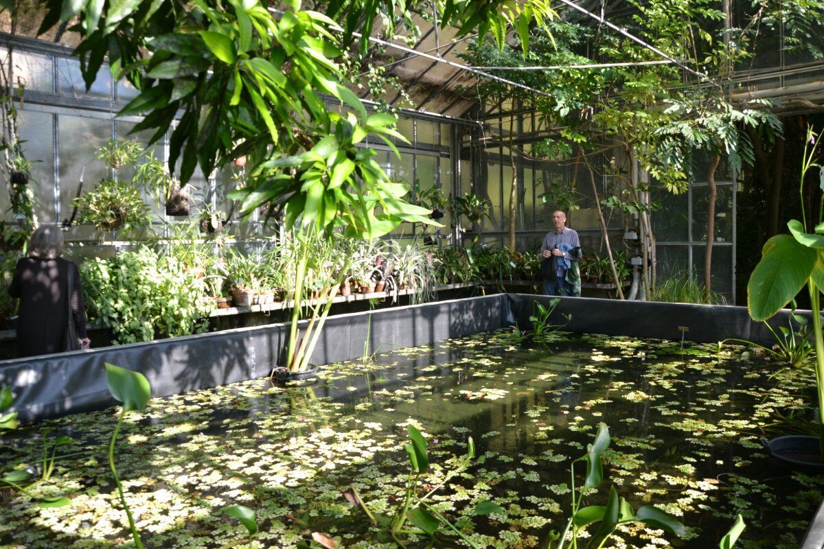 Genova nel Verde: Visita ai Giardini e all'Orto Botanico desktop picture