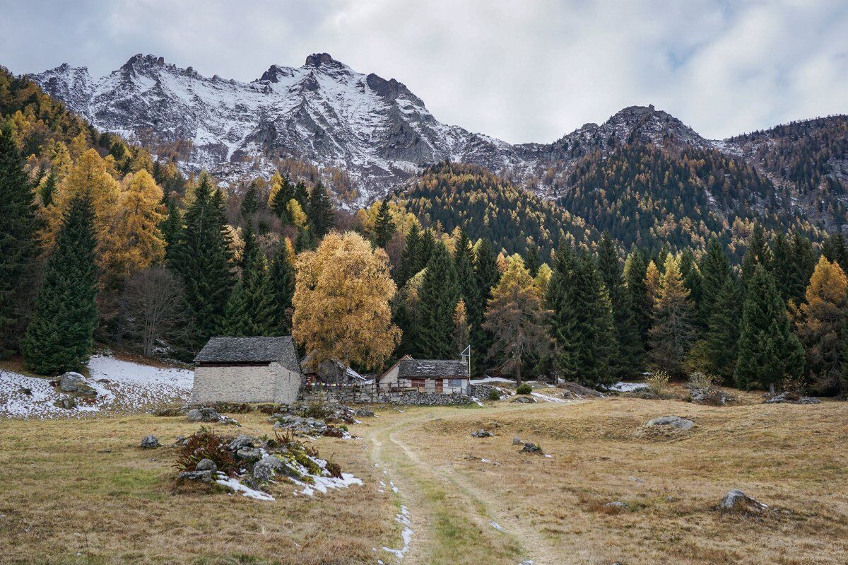 Trekking Panoramico: Un Balcone sulla Valle Antigorio desktop picture