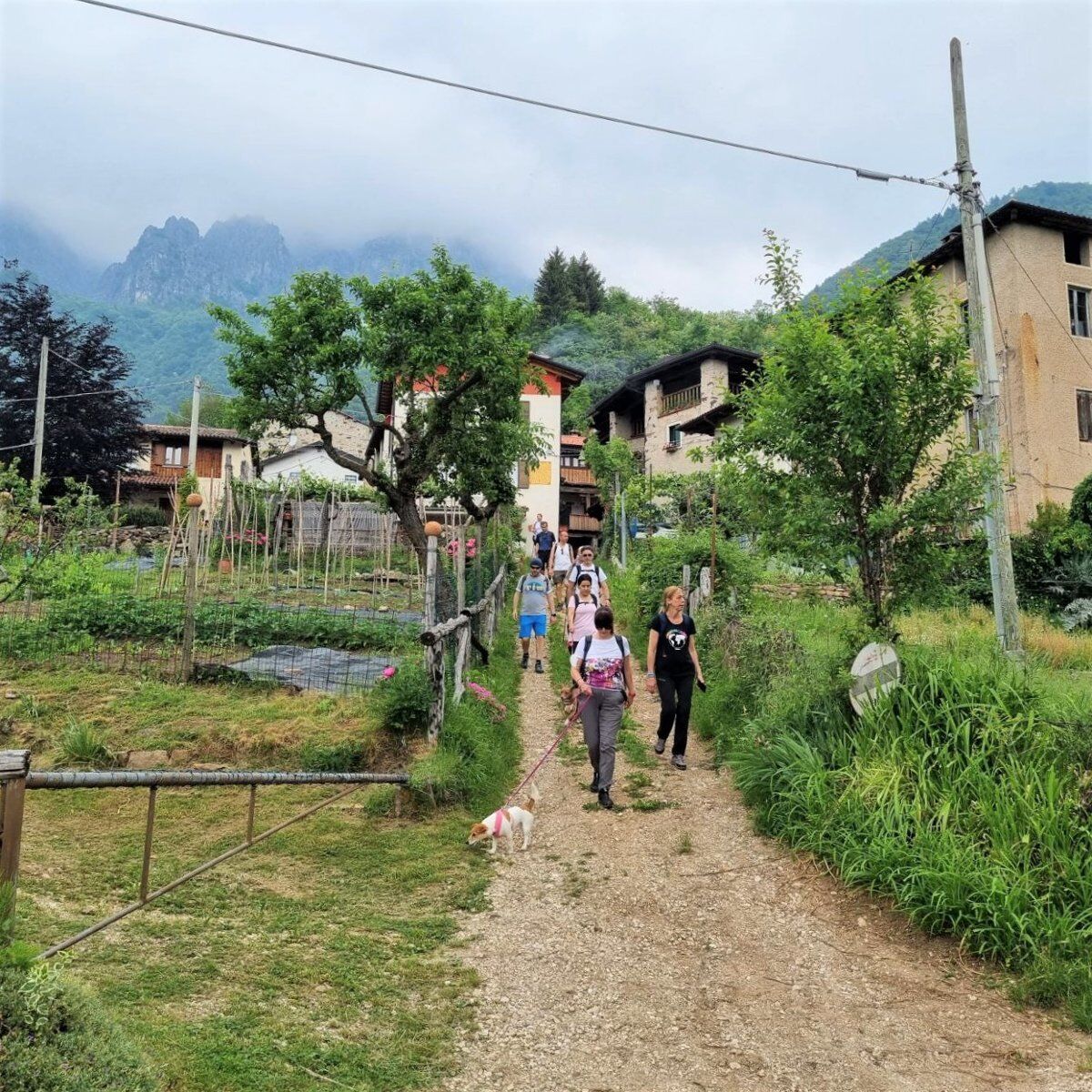 Trekking tra le contrade alte della Val Leogra - Seconda Parte Trekking tra le contrade alte della Val Leogra - Seconda Parte desktop picture