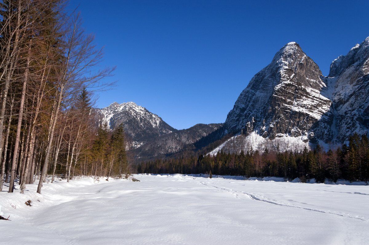 Ciaspolata in Val Saisera (Ciaspole Non Incluse) desktop picture