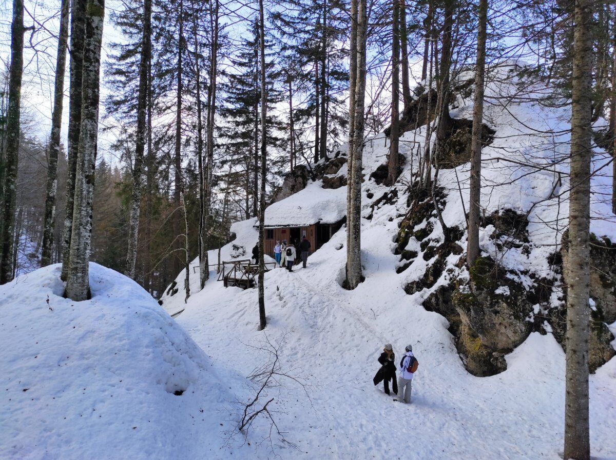 Ciaspolata in Val Saisera (Ciaspole Non Incluse) desktop picture