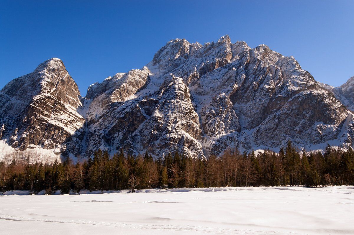 Ciaspolata in Val Saisera (Ciaspole Incluse) desktop picture