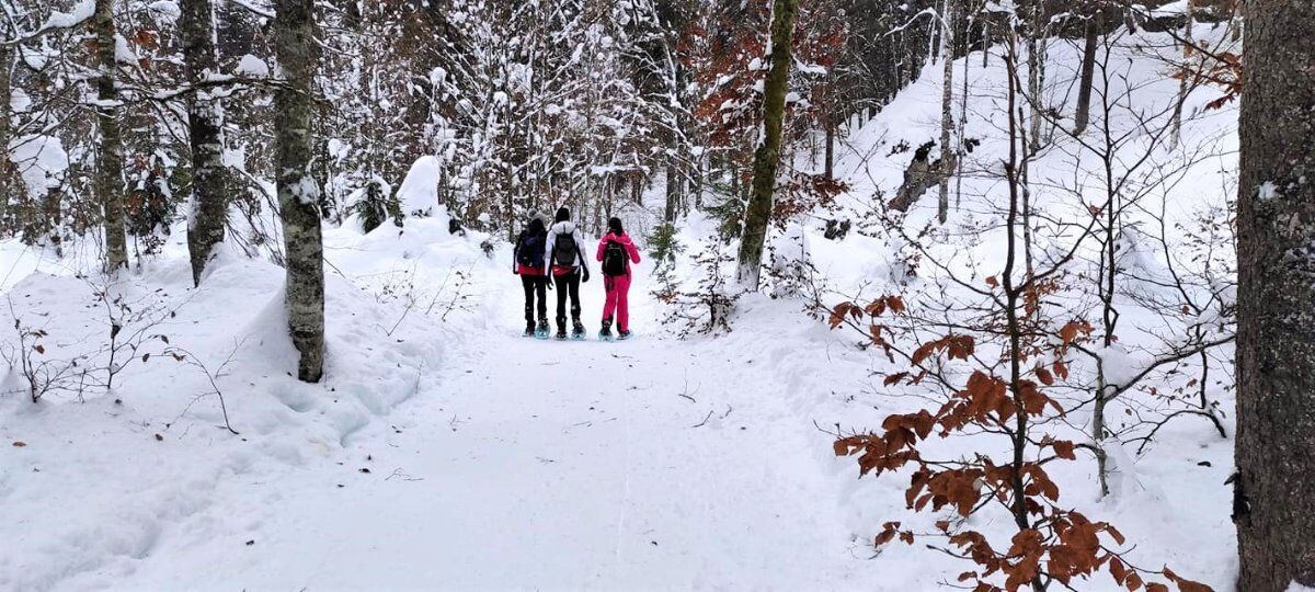 Ciaspolata in Val Saisera (Ciaspole Incluse) Ciaspolata in Val Saisera (Ciaspole Incluse) desktop picture