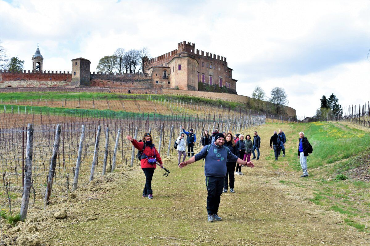 I Sentieri ad anello di Montemagno: il Castello e le sue dolci colline desktop picture