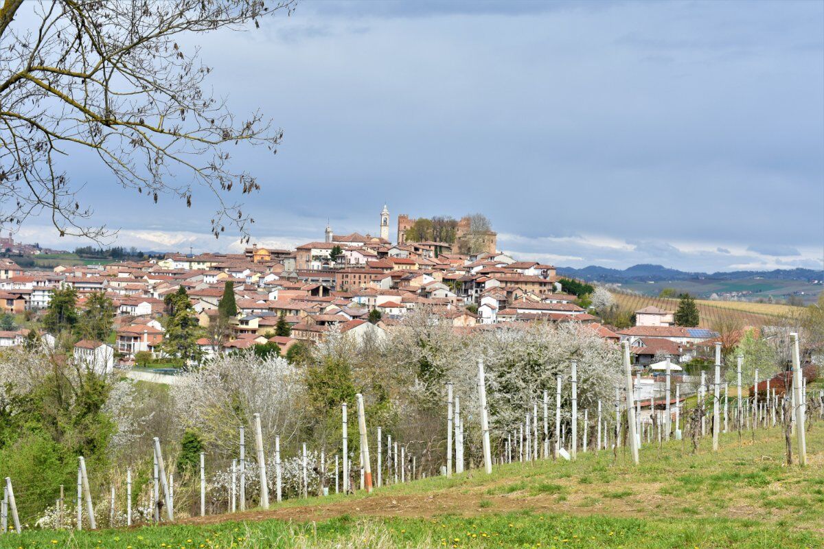 I Sentieri ad anello di Montemagno: il Castello e le sue dolci colline desktop picture