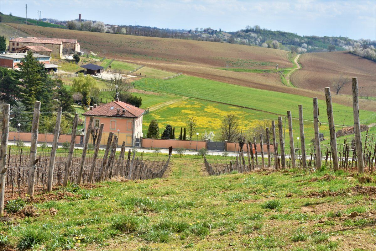 I Sentieri ad anello di Montemagno: il Castello e le sue dolci colline desktop picture