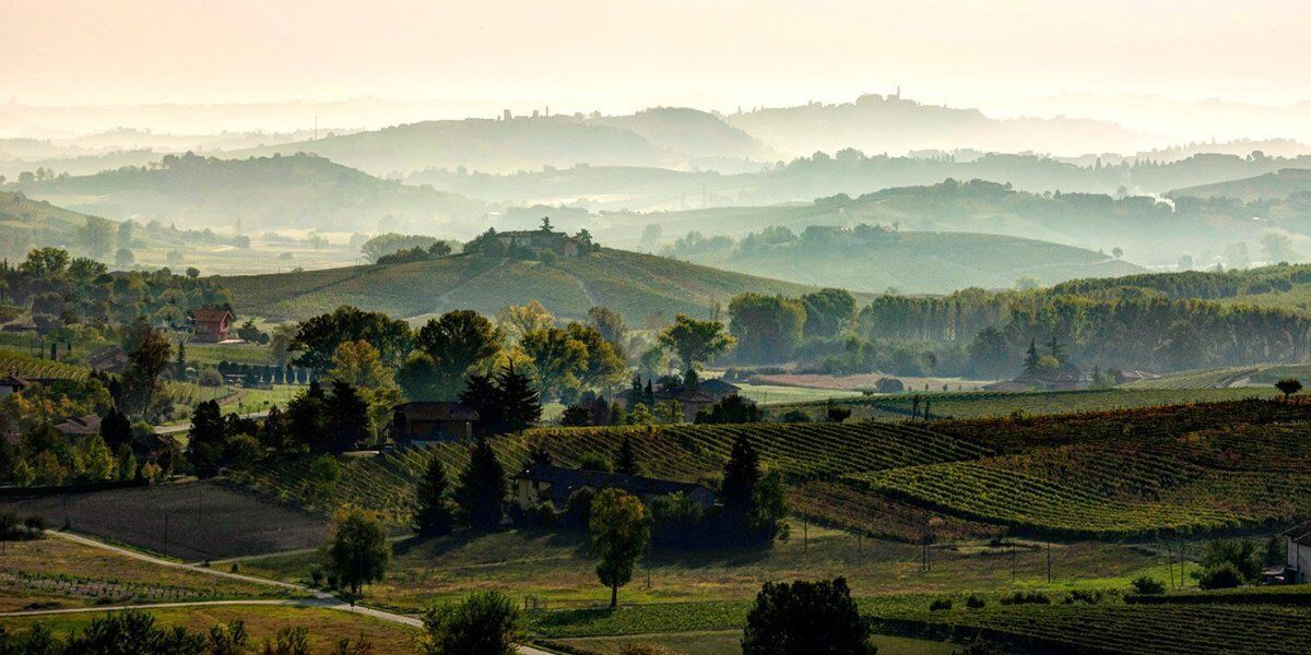 Sentiero di Scurzolengo: Passeggiata tra Borghi e Campagne Astigiane desktop picture