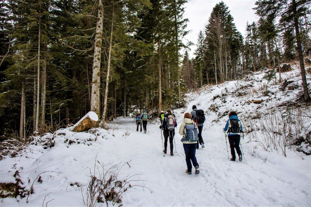 Il Drago di Lavarone: un Trekking ad Opera d'Arte desktop picture