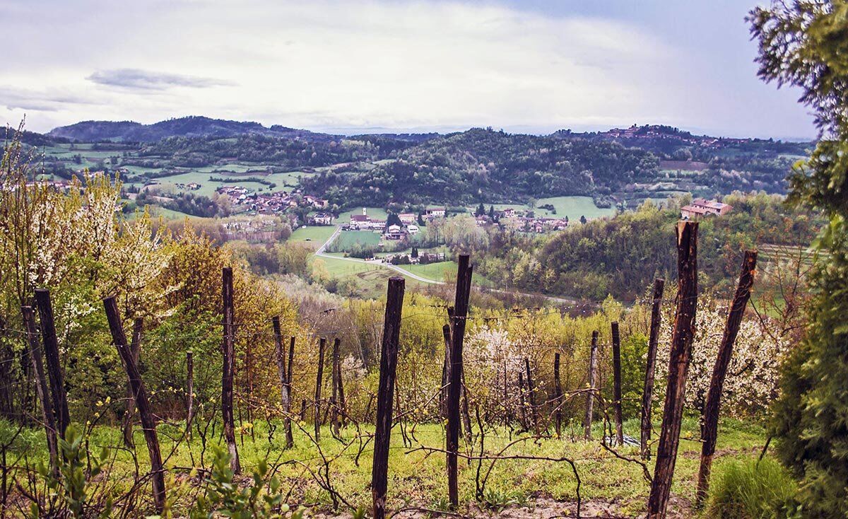 L'Anello di Treville: Passeggiata sui Colli Monferrini L'Anello di Treville: Passeggiata sui Colli Monferrini desktop picture