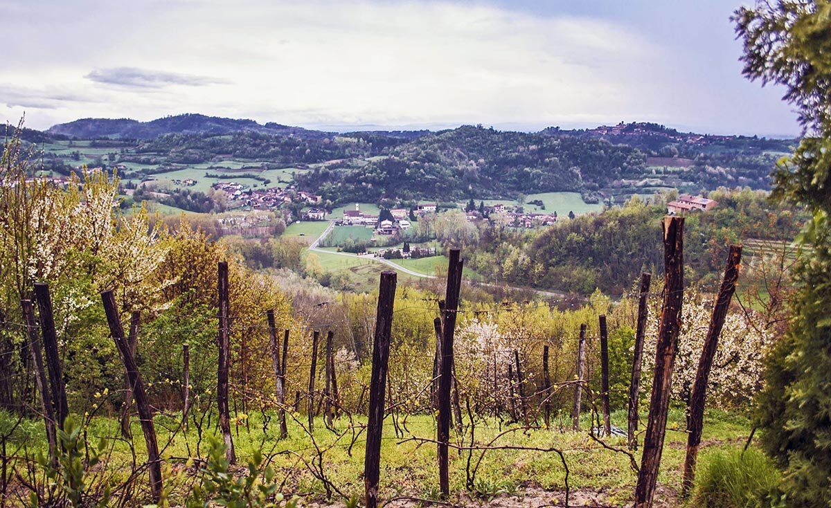 L'Anello di Treville: Passeggiata sui Colli Monferrini desktop picture