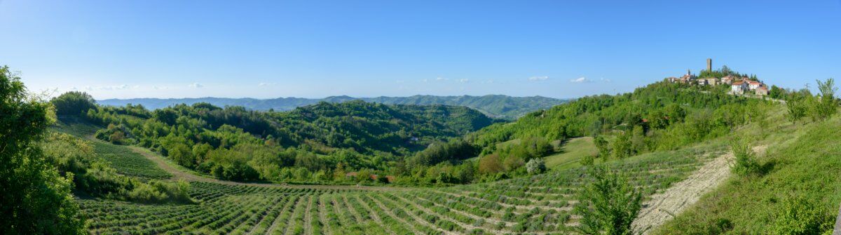 Tra Torri e Campanili: Passeggiata nell'Alto Monferrato desktop picture