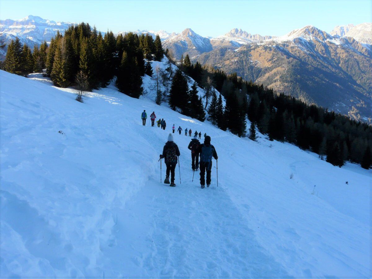Ciaspolata con Pranzo in Rifugio: Il Monte Fertazza (Ciaspole Incluse) Ciaspolata con Pranzo in Rifugio: Il Monte Fertazza (Ciaspole Incluse) desktop picture