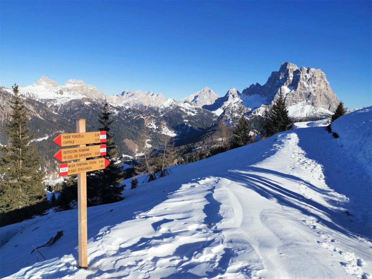 Ciaspolata con Pranzo in Rifugio: Il Monte Fertazza (Ciaspole Non Incluse) desktop picture