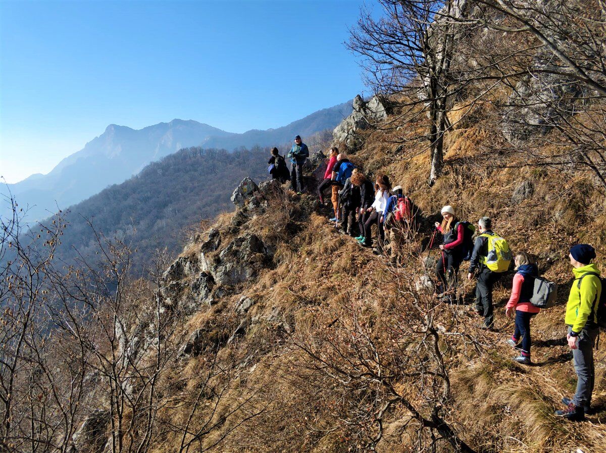 Il Sentiero Elvezio: Trekking alle pendici del Monte Moregallo desktop picture