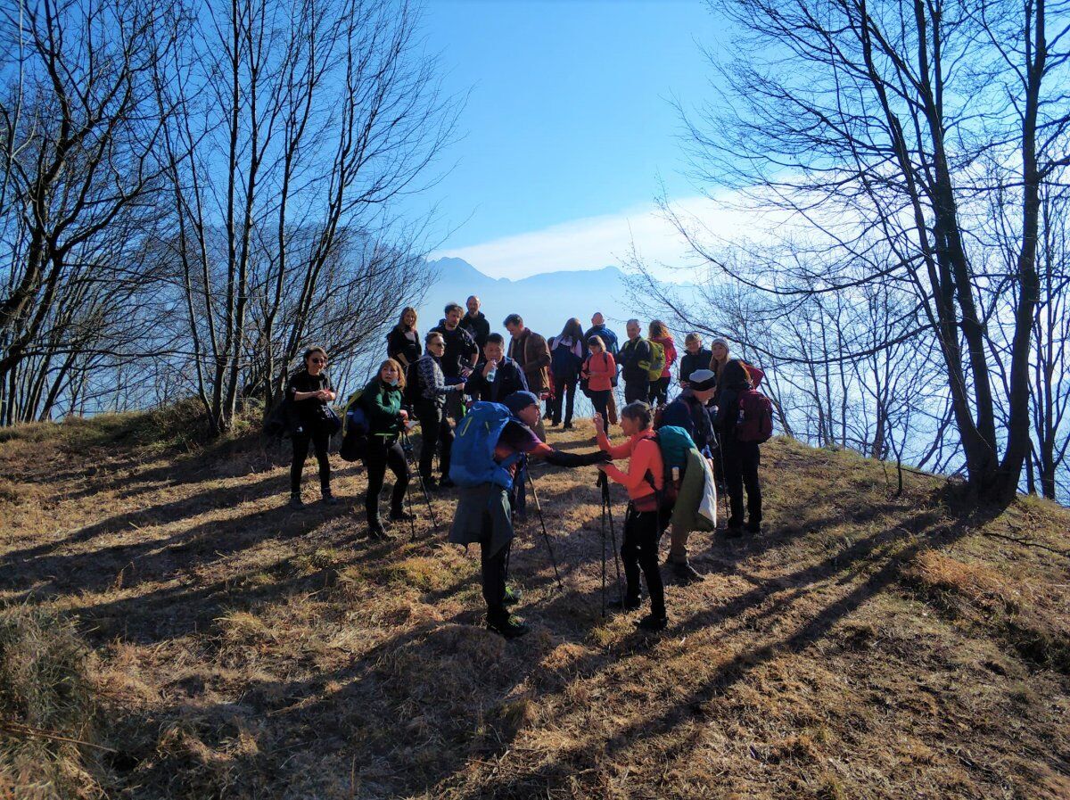 Il Sentiero Elvezio: Trekking alle pendici del Monte Moregallo desktop picture