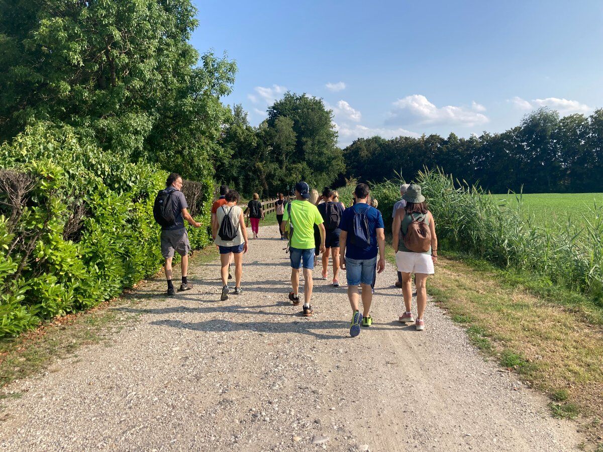 Passeggiata al tramonto nel Parco del Sile Passeggiata al tramonto nel Parco del Sile desktop picture