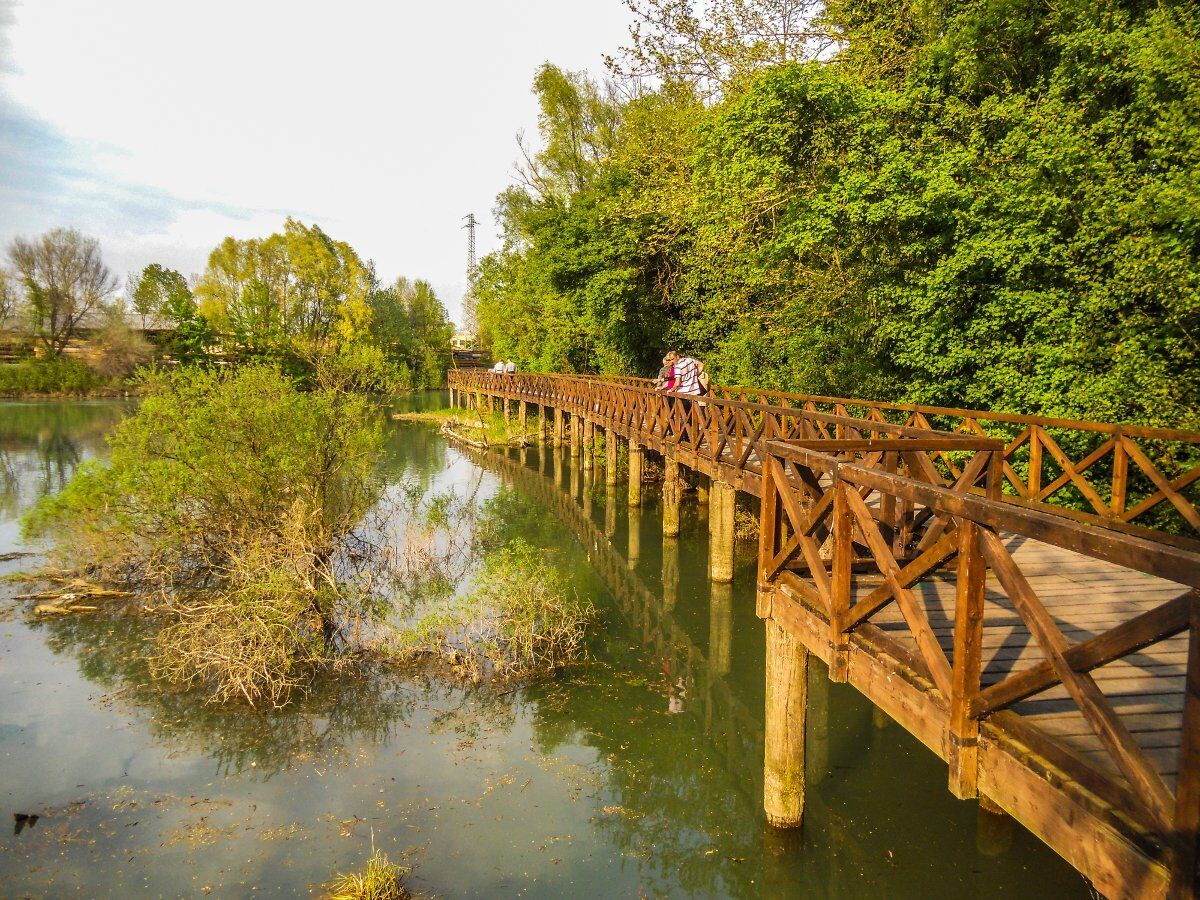 Passeggiata al tramonto nel Parco del Sile Passeggiata al tramonto nel Parco del Sile desktop picture