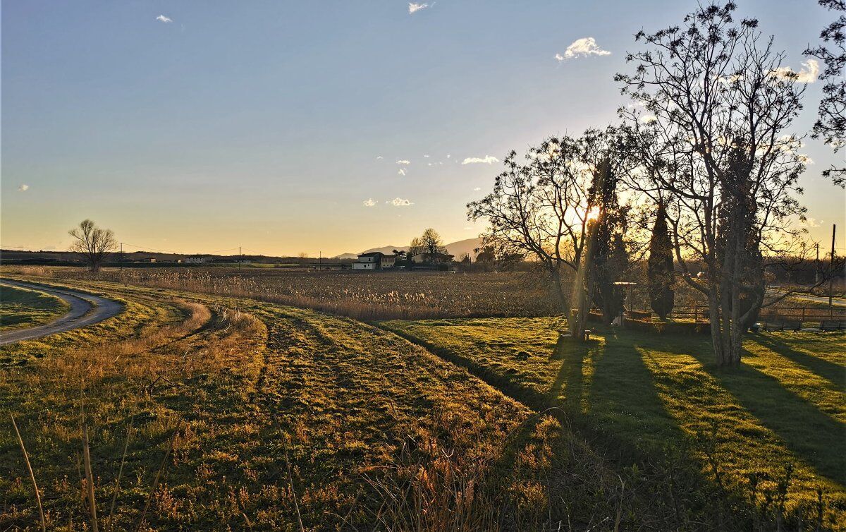 Tramonto sulla Laguna: Passeggiata nella Riserva Padule di Fucecchio Tramonto sulla Laguna: Passeggiata nella Riserva Padule di Fucecchio desktop picture