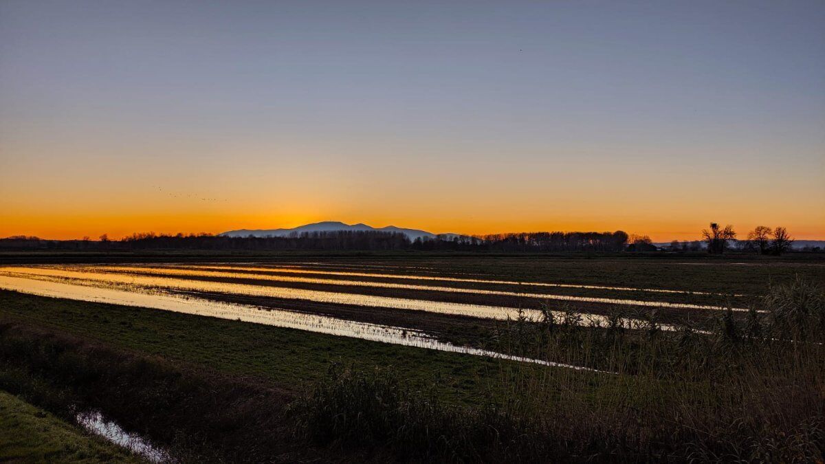 Tramonto sulla Laguna: Passeggiata nella Riserva Padule di Fucecchio Tramonto sulla Laguna: Passeggiata nella Riserva Padule di Fucecchio desktop picture