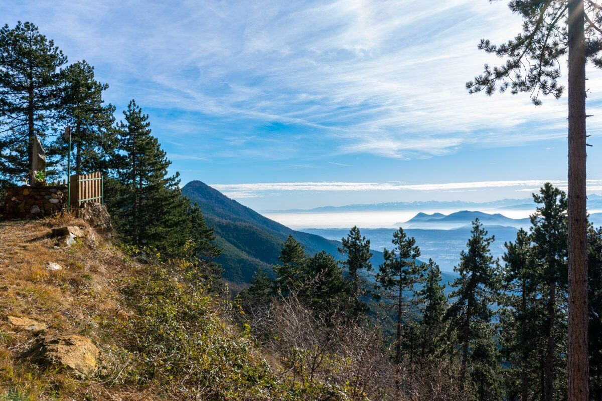 In Vetta al Monte Arpone: Trekking tra Boschi e Incantevoli Scenari desktop picture