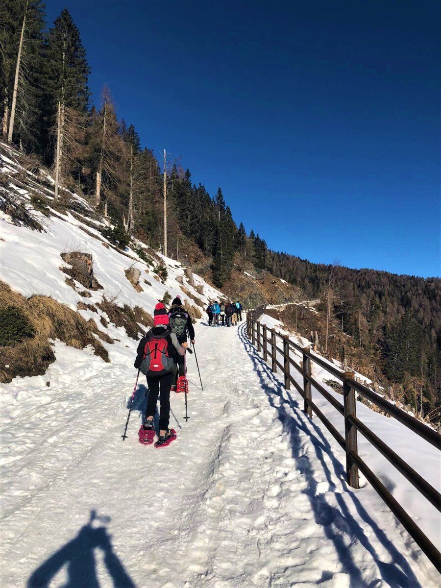 Ciaspolata alle pendici del Pelmo con Pranzo in Rifugio Ciaspolata alle pendici del Pelmo con Pranzo in Rifugio desktop picture