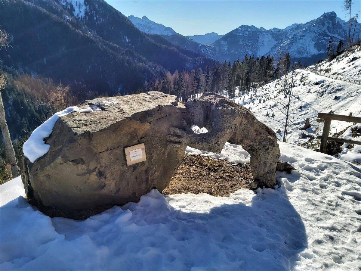 Ciaspolata alle pendici del Pelmo con Pranzo in Rifugio Ciaspolata alle pendici del Pelmo con Pranzo in Rifugio desktop picture