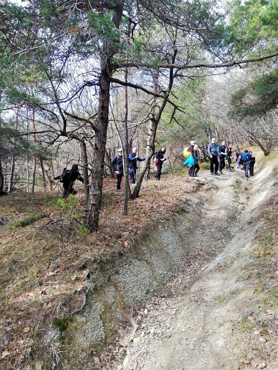 Trekking tra i Borghi dell'Appennino Reggiano e il Bosco delle Favole desktop picture