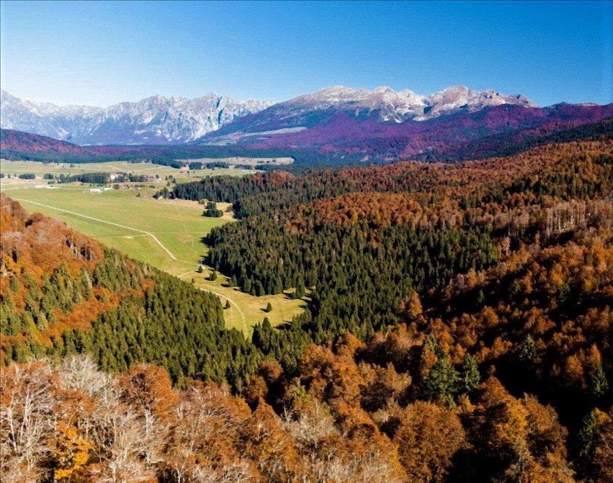 Escursione in Cansiglio: il Bosco dei Dogi desktop picture