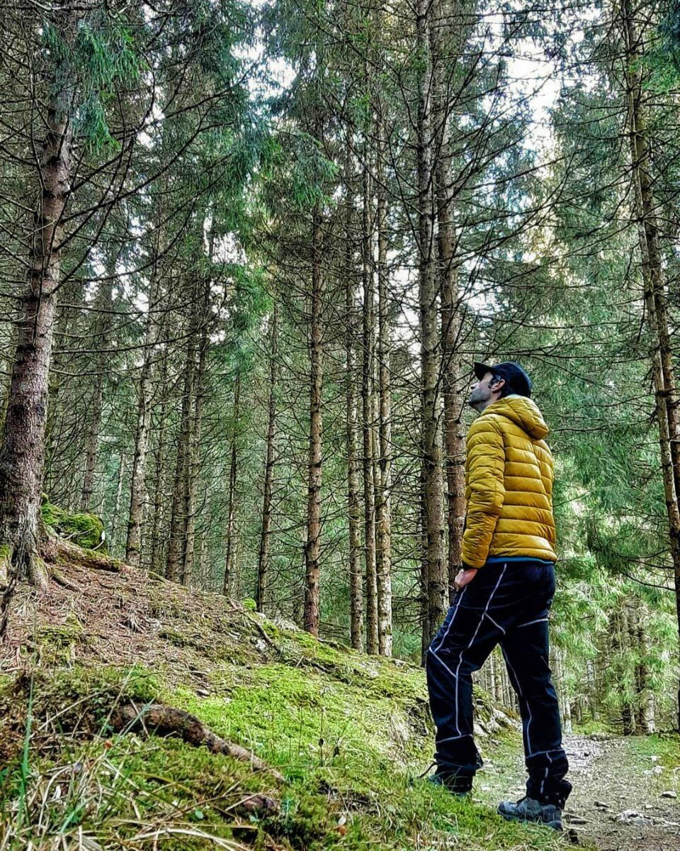 Escursione in Cansiglio: il Bosco dei Dogi Escursione in Cansiglio: il Bosco dei Dogi desktop picture