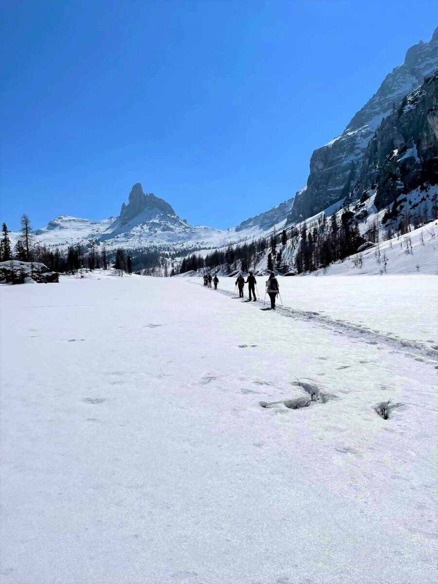 Ciaspolata a Croda da Lago: tra incredibili scenari Ciaspolata a Croda da Lago: tra incredibili scenari desktop picture