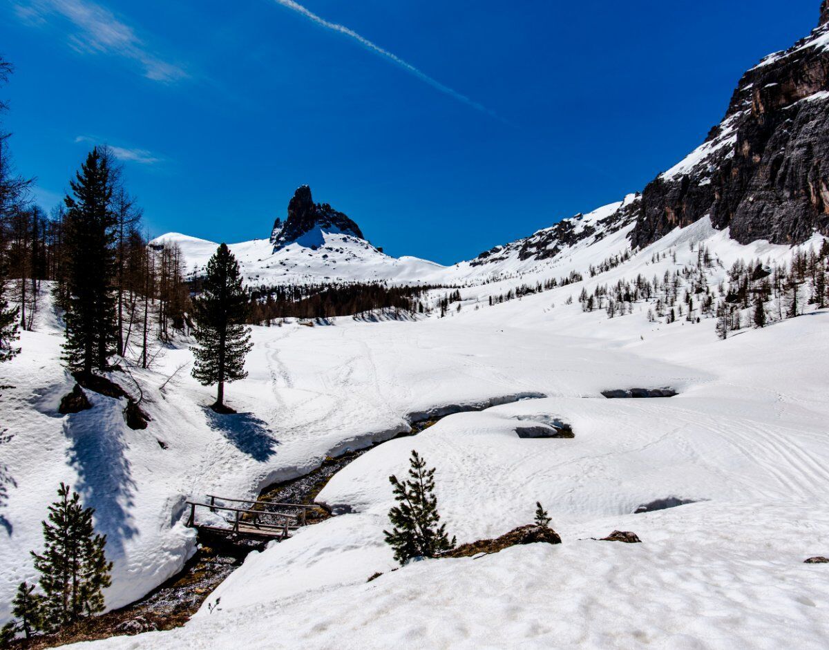 Ciaspolata a Croda da Lago: tra incredibili scenari Ciaspolata a Croda da Lago: tra incredibili scenari desktop picture