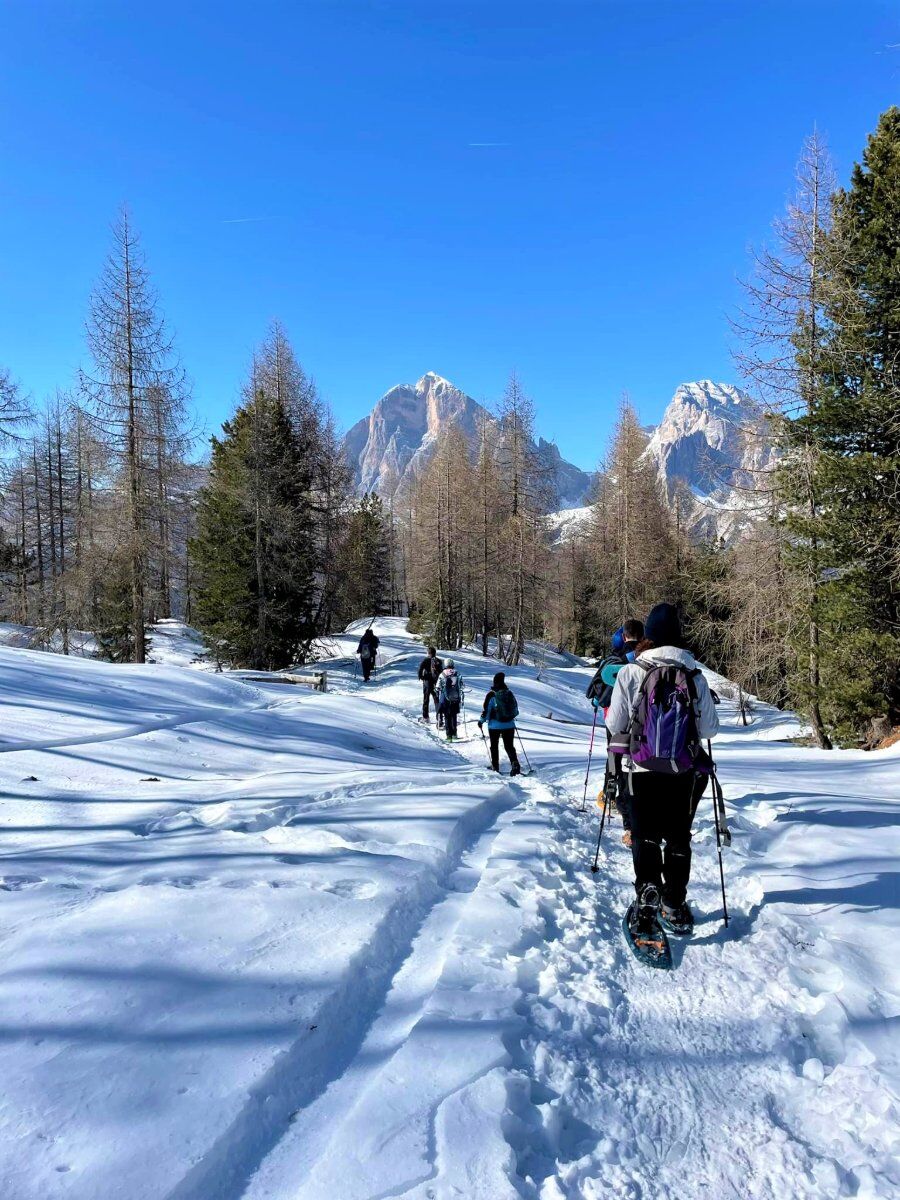 Ciaspolata a Croda da Lago: tra incredibili scenari Ciaspolata a Croda da Lago: tra incredibili scenari desktop picture