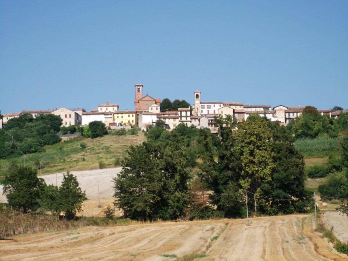 L’Anello Olivola Frassinello: Camminata nella Terra di Ulivi e Frassini desktop picture