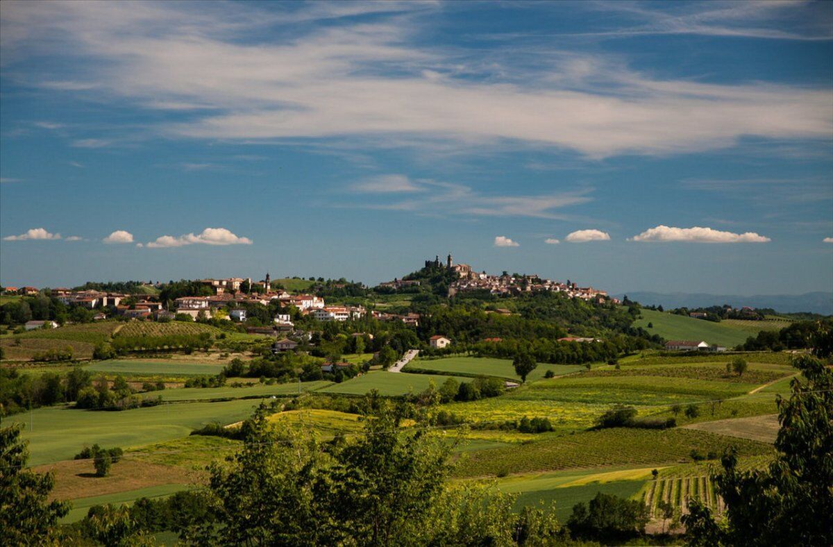 L’Anello Olivola Frassinello: Camminata nella Terra di Ulivi e Frassini desktop picture