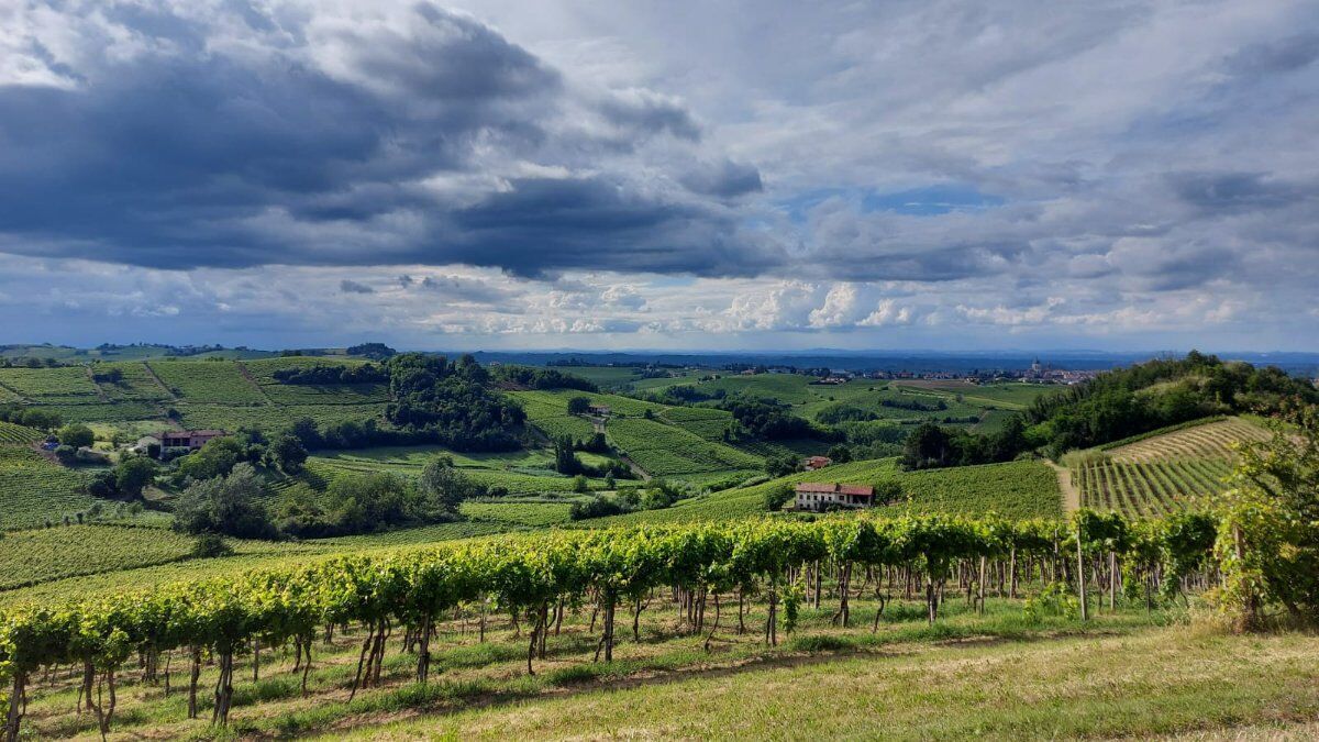 Escursione dal Medioevo di Cassine al Belvedere di Alice Bel Colle Escursione dal Medioevo di Cassine al Belvedere di Alice Bel Colle desktop picture