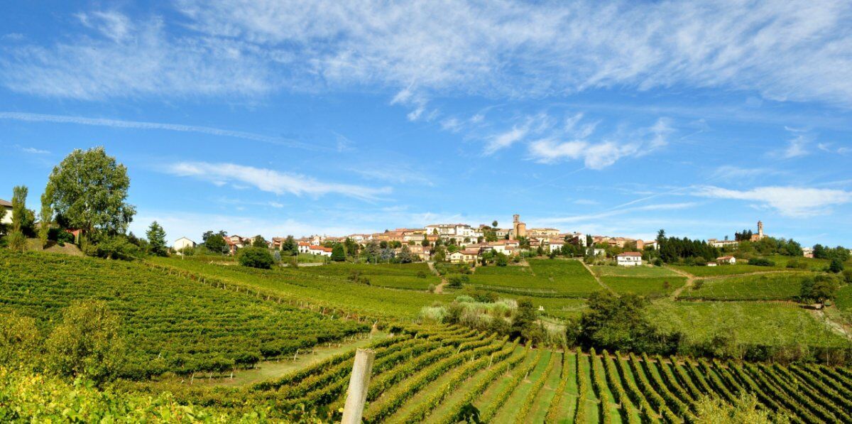 Escursione dal Medioevo di Cassine al Belvedere di Alice Bel Colle Escursione dal Medioevo di Cassine al Belvedere di Alice Bel Colle desktop picture